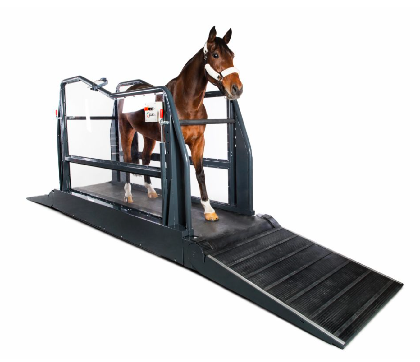Q-Line Treadmill