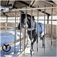 Q-Line HE Horse Exerciser