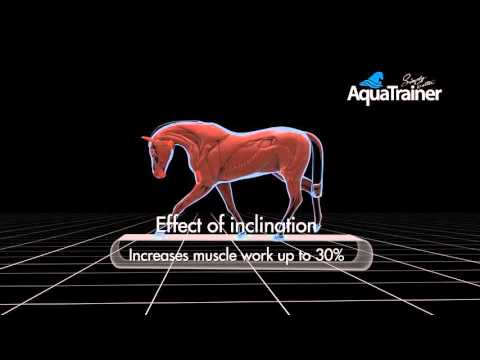 Aqua Icelander AQI-2800 Aqua Treadmill