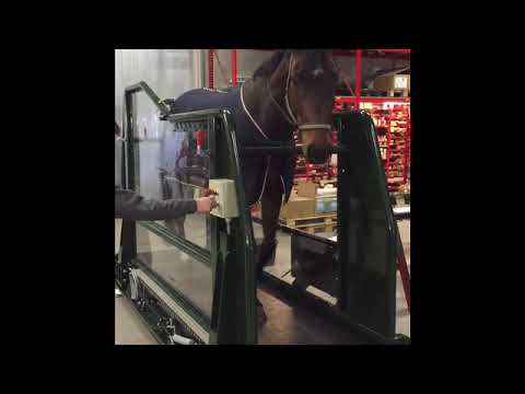 Q-Line Treadmill